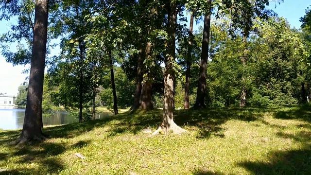 Будет ли Лена Хеппи говорить о личном???Потом)))А пока только о цветочках) смотреть онлайн