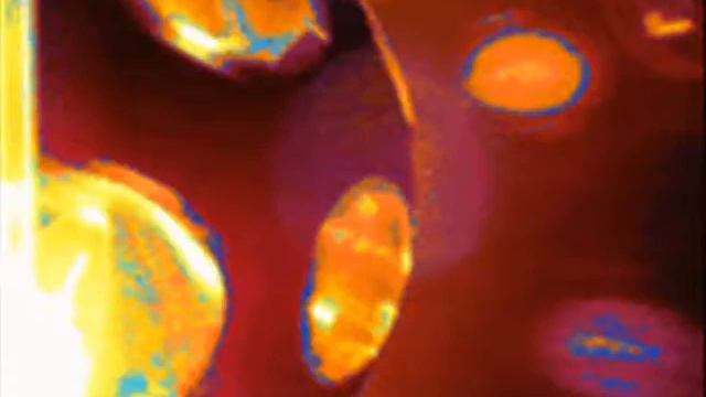 Disco Gifs смотреть онлайн