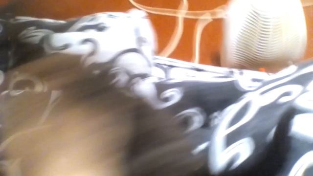 АНОНС ! Мне подарили котёнка? Видео блогер Ева ( котенок ), ??? смотреть онлайн