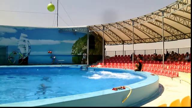 Отдых в Бердянске Дельфинарий Немо смотреть онлайн