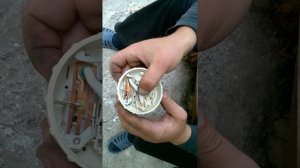 Прессостат датчик уровня воды