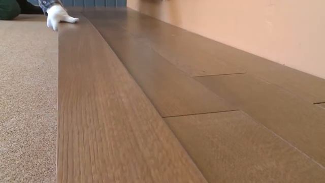 Паркетная доска покрытая лаком Finex для Фазенды смотреть онлайн