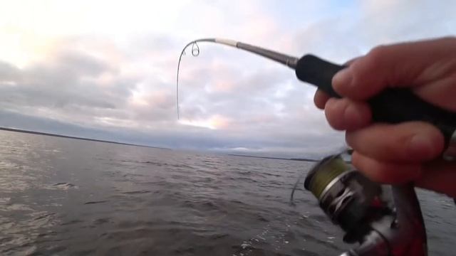 Рыбалка на Горе Море судак на Джиг смотреть онлайн