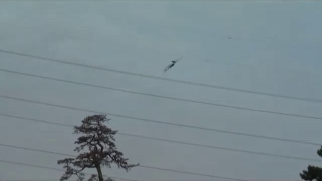 Tapejara 8-7 with body :Pterosaur Ornithopter RC смотреть онлайн