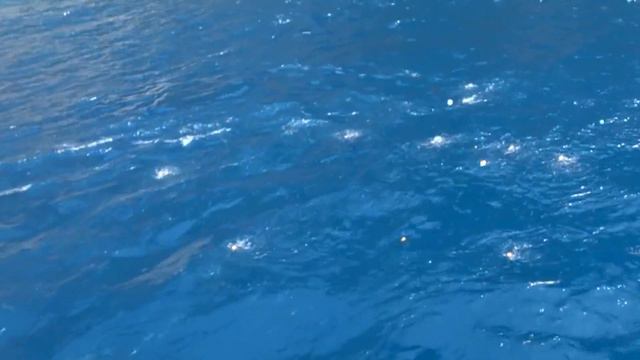 Путешествие на пиратском корабле/Travel on Big Cral смотреть онлайн