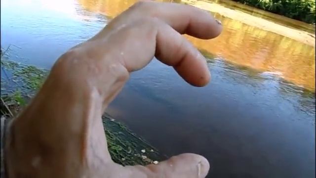 СКАЗ КАК АЗ БУКИ ВОДИТ. смотреть онлайн