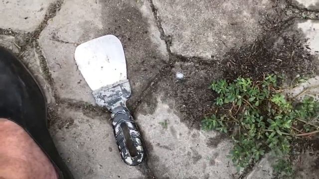 Пропалываю сорняки. Портулак и птичий горец засоряют двор. Влог. смотреть онлайн