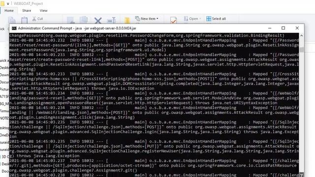 Java 11 and WebGoat 8 Installation for Beginner смотреть онлайн