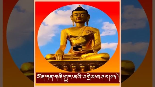 ཡོན་ཏན་གཞི་གྱུར་མའི་འགྲེལ་བཤད། འཆད་ཁྲིད་པ་འབྲས་བློ་གླིང་ལྷ་རམས་པ་ཚེ་རིང་ནོར་བུ་མཆོག смотреть онлайн
