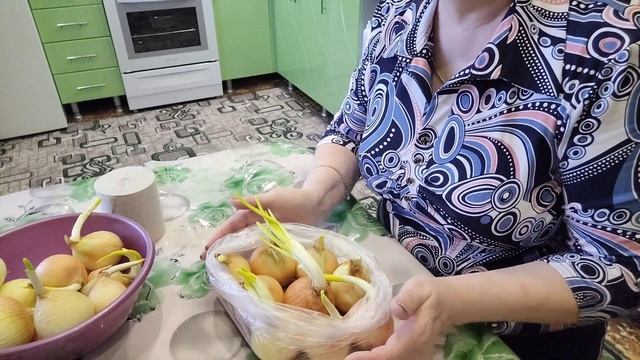 Вырастить зелёный лук на подоконнике легко и просто ? смотреть онлайн