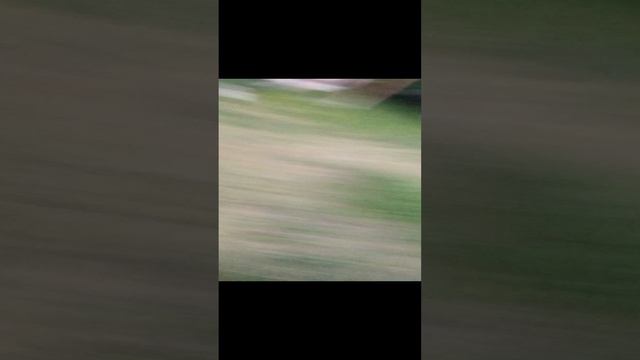 1000004055.mp4 смотреть онлайн