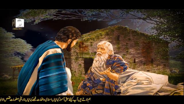 Badshah Ke Teen Sawal | Badshah Aur Wazeer Ki Kahani | Rohail Voice смотреть онлайн