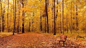 Секреты практики [Лакшми, озв. Никошо]