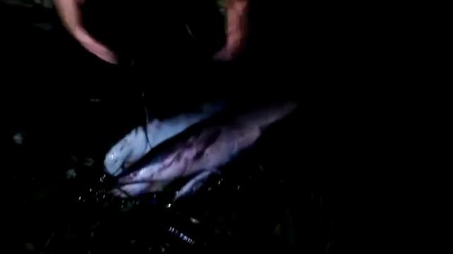 Тихая ночь ! смотреть онлайн