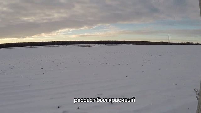 Охота на лося загоном.Осень 2021 смотреть онлайн