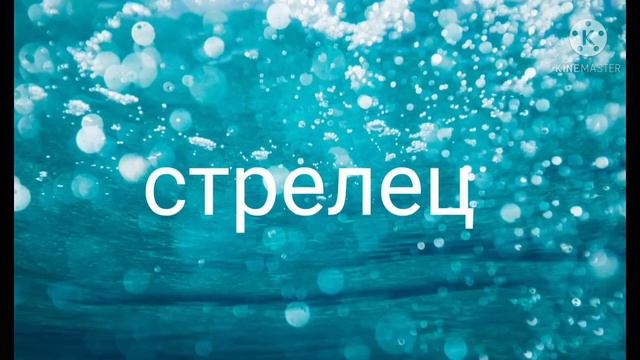 клип про знаков зодиака смотреть онлайн