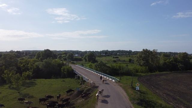 Село Сара , Сурский район. Река Сура. Лето 2021. Аэросьёмка. DJImini2