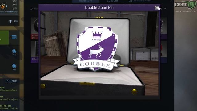 ALL SERIES 2 PINS INGAME! (CS:GO New Pin Update) смотреть онлайн