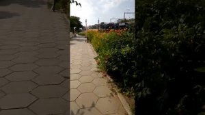 Городской пляж. Комплекс   «Лунный берег» в Махачкале