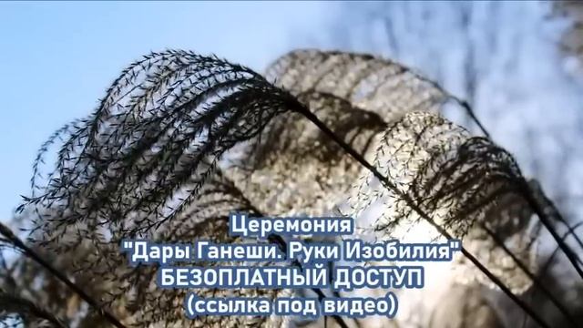 ТИХИЙ ВНУТРЕННИЙ ГОЛОС НЕБА – ПРЕДУПРЕЖДЕНИЕ-ченнелинг смотреть онлайн