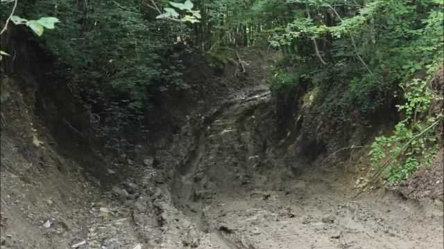 Поездка в гору Геленджик 2015 смотреть онлайн