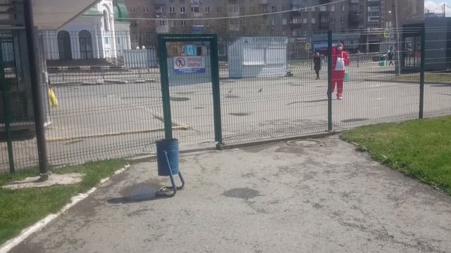 Екатеринбург Корона Вирус меры смотреть онлайн