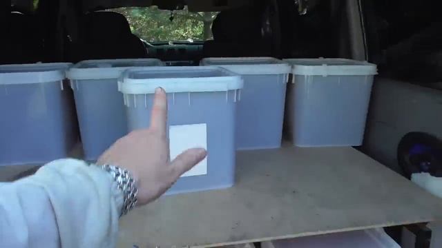 Откачал липу / Изолятор Миленина М И результат мне не понравился. смотреть онлайн