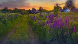 футаж деревня