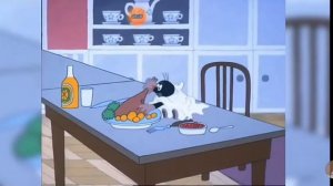 КАК ЧЕШСКИЙ КРОТ СЛОМАЛ МНЕ ПСИХИКУ реакция на акра