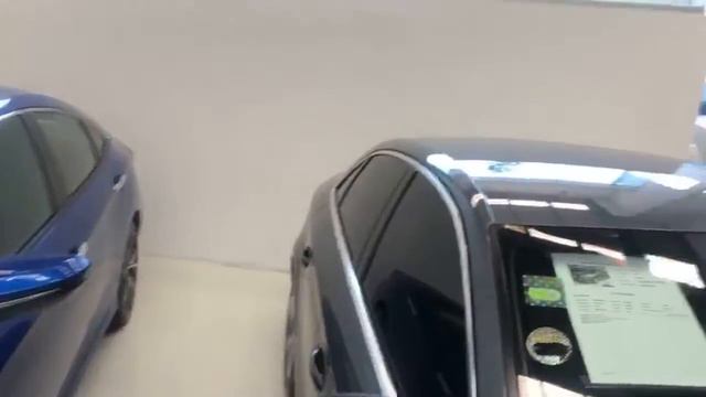 En vivo desde Honda universidad смотреть онлайн