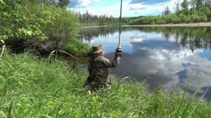 ? За таежным хариусом на аэролодке / рыбалка, ленок, хариус /