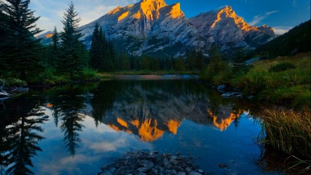 Кирилл долго не мог забыть предательство любимой девушки. А через 5 лет он ей написал смс смотреть онлайн