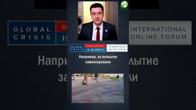 Почему СЕЛЬДЯНОЙ КОРОЛЬ всплыл из глубины? #short смотреть онлайн