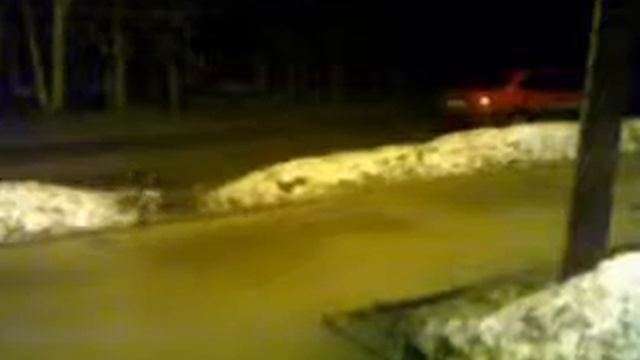 Самое Мудрое животное это КЛЕЩ!!!.wmv смотреть онлайн