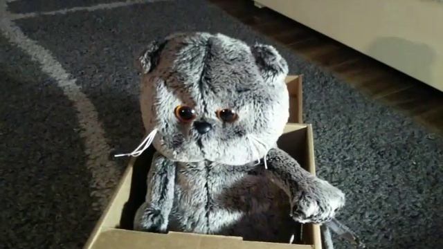День ангела ВЕРОНИКИ (нежданный подарок) смотреть онлайн