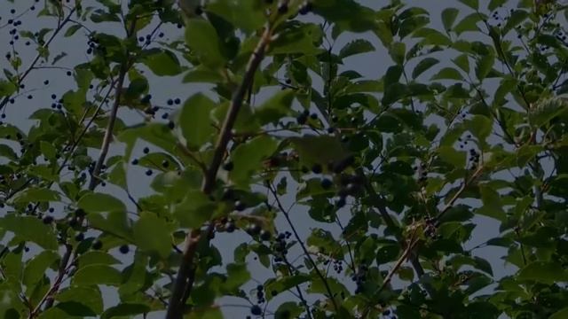Станьте умнее! Делайте эти 5 упражнений для мозга. смотреть онлайн