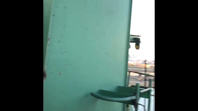 Кран АЛЬБАТРОС портальный