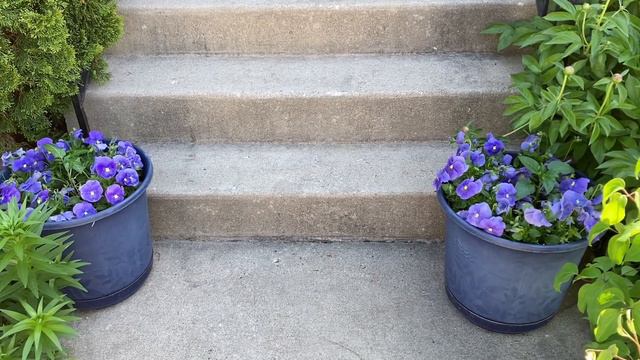 GreenStalk Planters | Vertical Gardening for small spaces смотреть онлайн