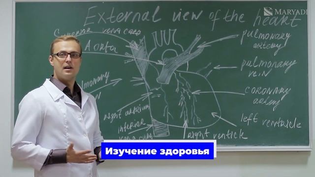 Средняя школа в Америке AMERIGO Cape Cod Academy / Американская школа / Обучение в США смотреть онлайн