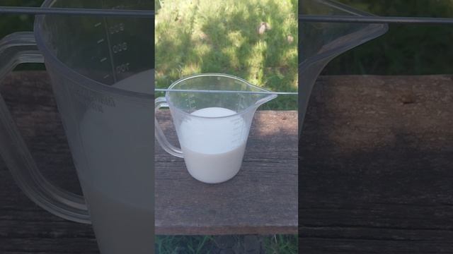 Как проверить молоко на натуральность?