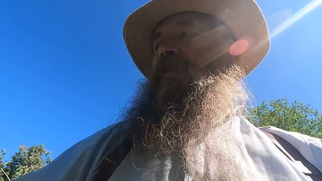 Депутаты от страха смотреть онлайн