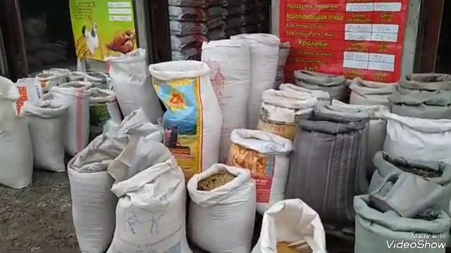 Каким кормом кормлю цыплят? Чем начинаю пропаивать? Итог первого дня вывода в инкубаторе. смотреть онлайн