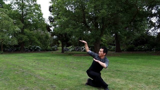 Kung Fu Wushu Snake Style - Snake Form 蛇拳 смотреть онлайн