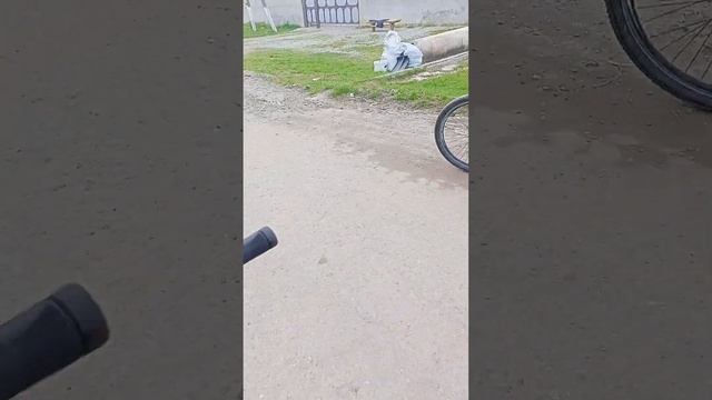 едем на велосипедах без рук? смотреть онлайн