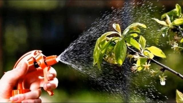 Горчичный порошок для семян и сада смотреть онлайн