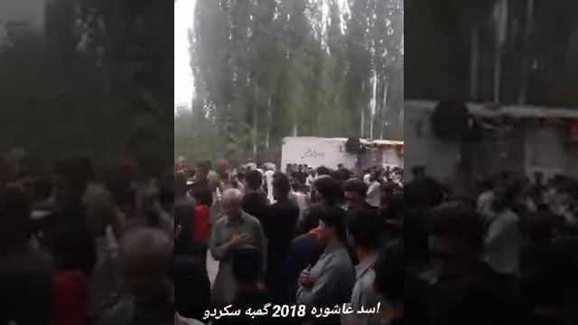 Asad Ashura | Gamba | Skardu | 2018 | Anjuman_e_fidaiyan_Tinjos_skd 03 смотреть онлайн
