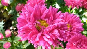 Чужая семья 1 - 4 серии (сериал 2021)