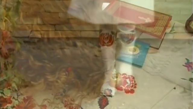 Настя Заграй "Червона Калина" смотреть онлайн