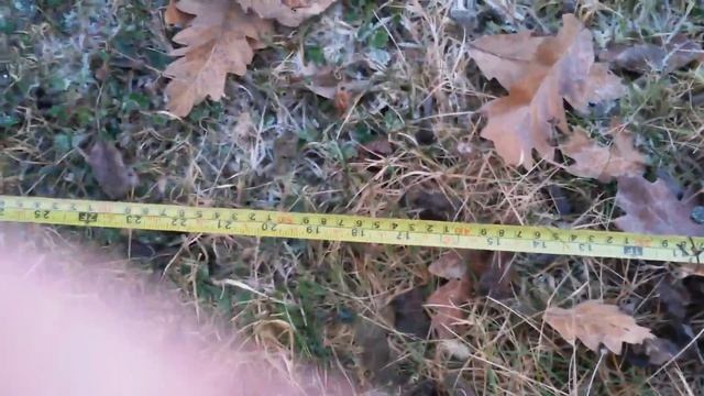 Maximum Depth Test With Detech EDS Reacher(coin, Iron Patent And 28cm Pan)