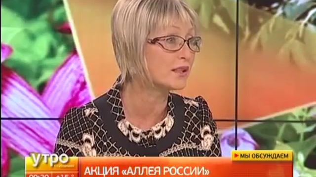 Утро с Губернией. Амурский Бархат или Кедр? Хабаровский край голосует за свой символ! смотреть онлайн